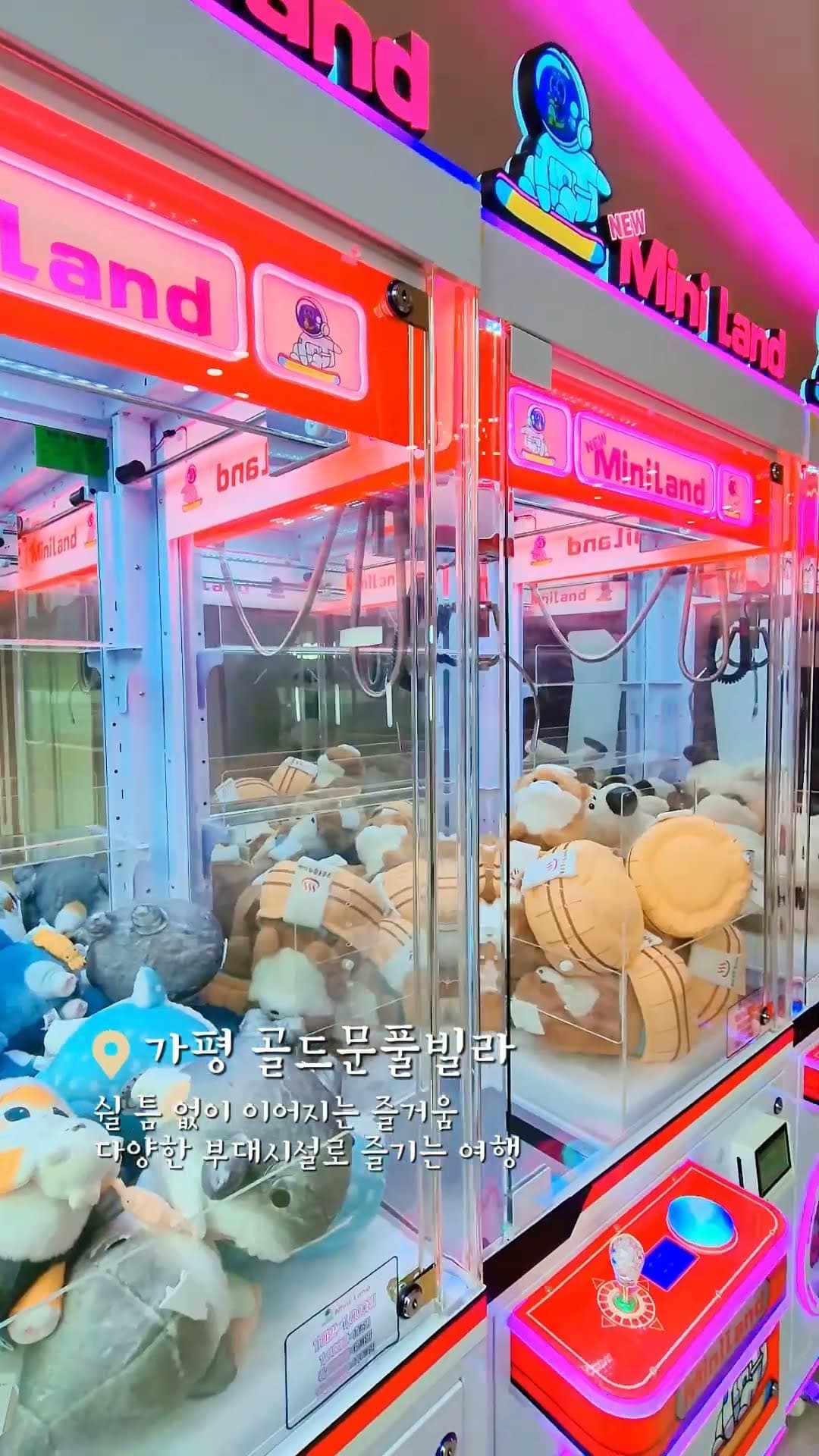 가족여행도 커플여행도 좋은 가평 숙소 추천🏕️ | 골드문 #가평풀빌라 #골드문풀빌라 #가평글램핑 #가평숙소 #서울근교여행 #가평여행 #가족여행 #커플여행 #글램핑추천
